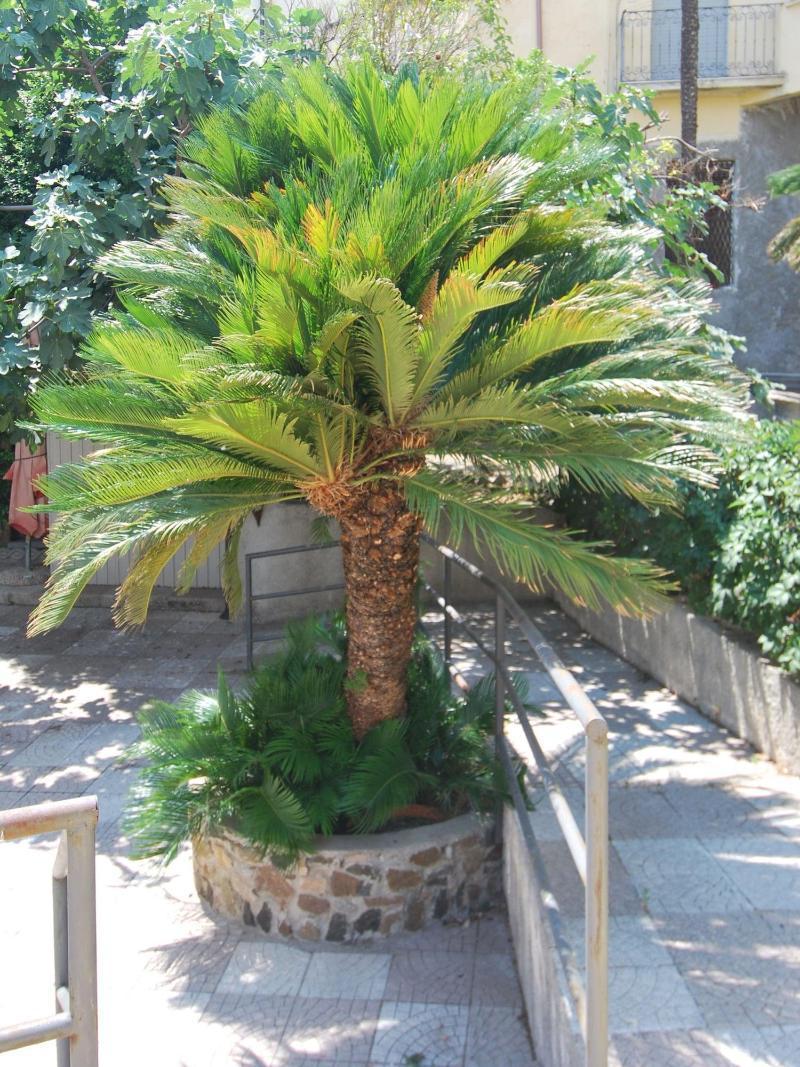 Hotel San Giuseppe - Cityhotel Catanzaro Luaran gambar